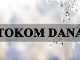 Tokom dana