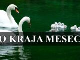 Horoskop do kraja meseca otkriva sta sledi i kome se menja mnogo toga!