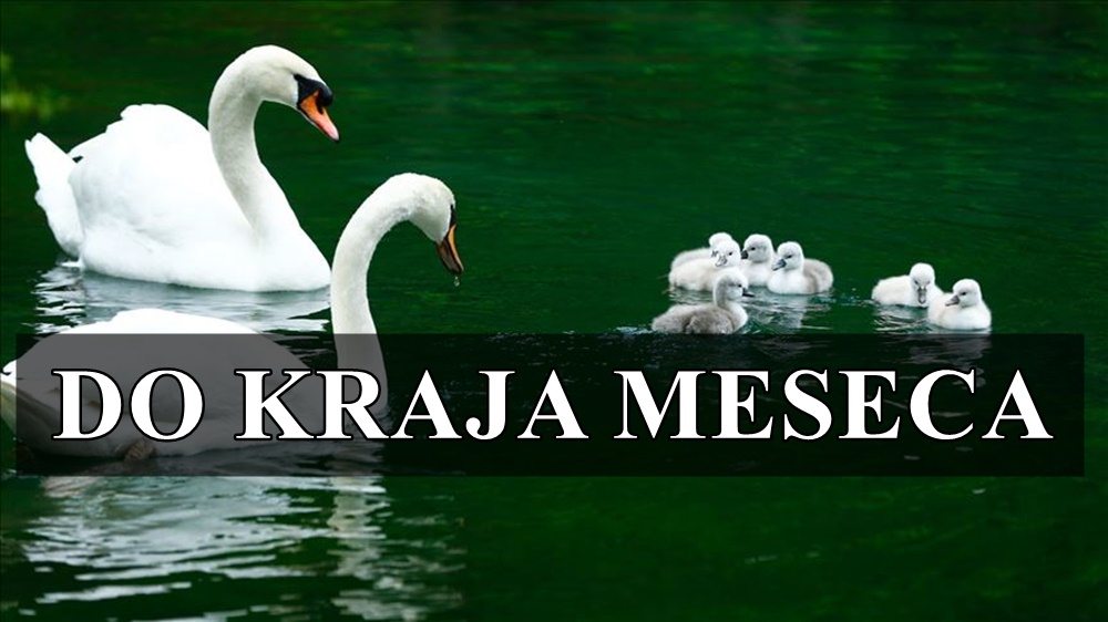 Horoskop do kraja meseca otkriva sta sledi i kome se menja mnogo toga!